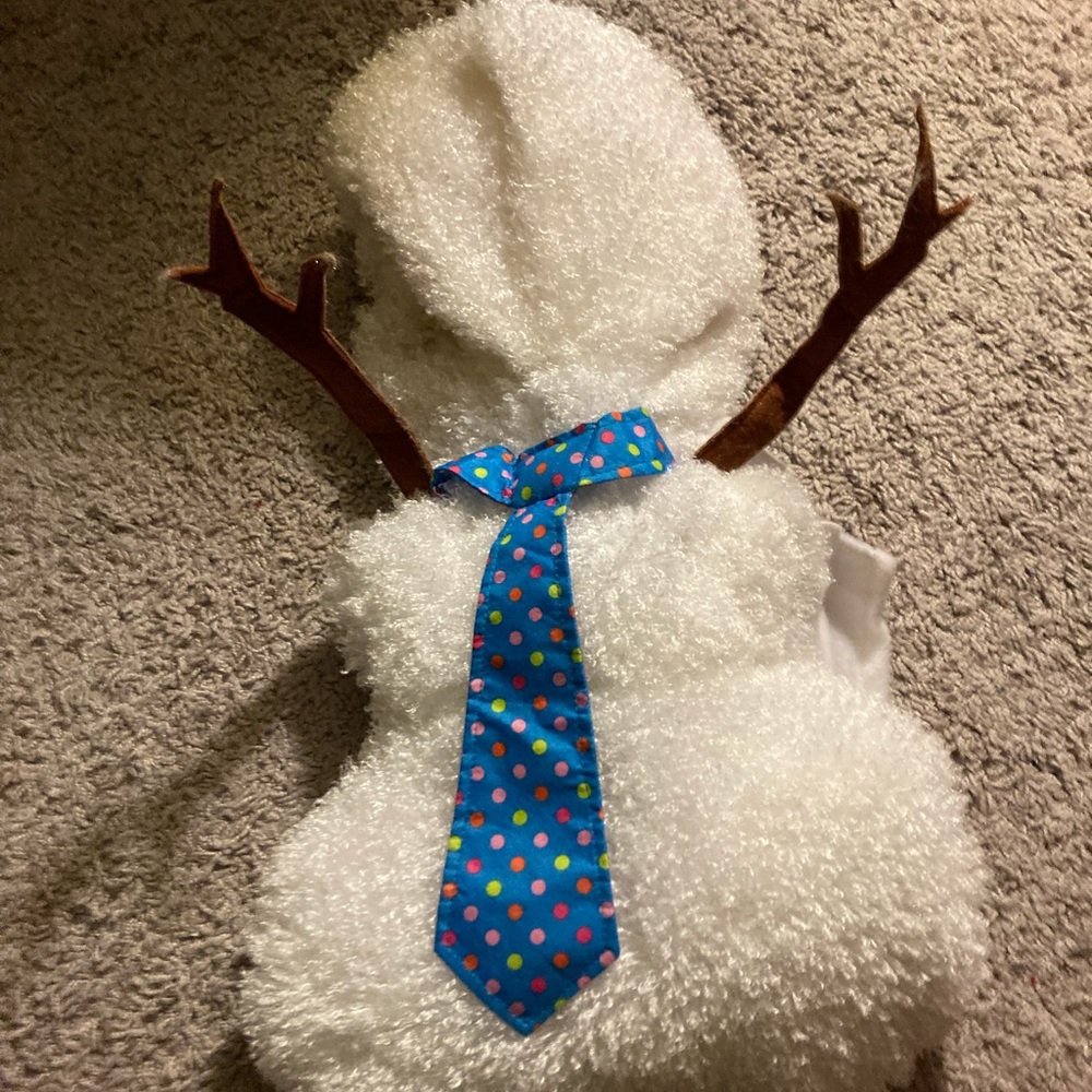 Small snowman dog costume